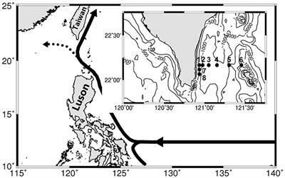 Phytoplankton and Bacterial Responses to Monsoon-Driven Water Masses Mixing in the Kuroshio Off the East Coast of Taiwan